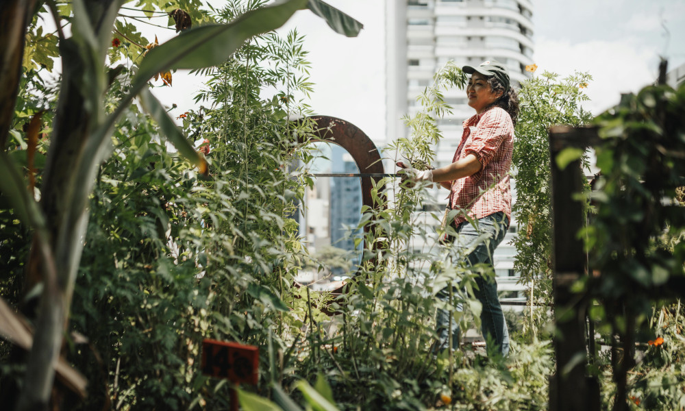 7 Tipps für ein erfolgreiches Urban Gardening