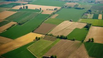 Die Bedeutung der landwirtschaftlichen Nutzfläche für die globale Ernährungssicherheit