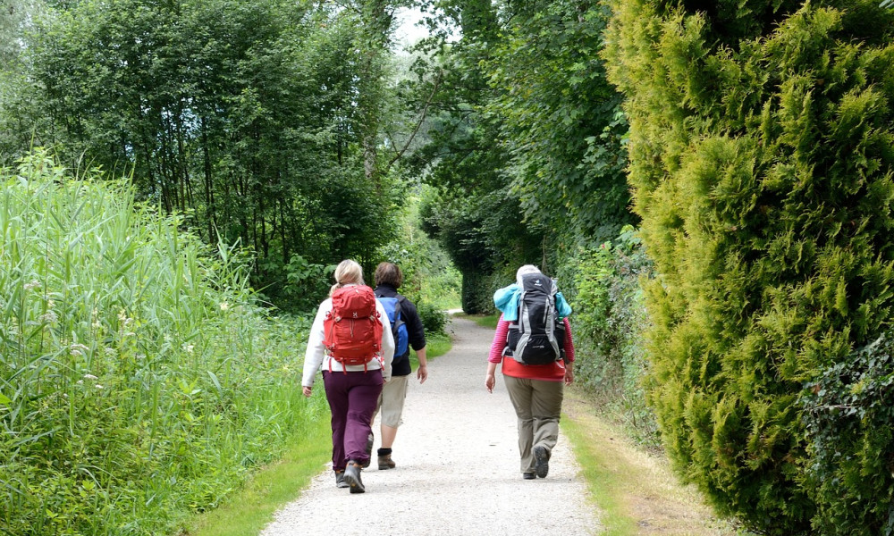 Die gesundheitlichen Vorteile von regelmäßiger Bewegung