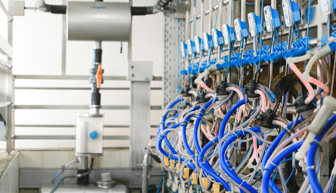 Die Revolution der Unternehmensprozesse: Automatisierung als Schlüssel zur Effizienz