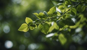 Die spirituelle Bedeutung der Farbe Grün