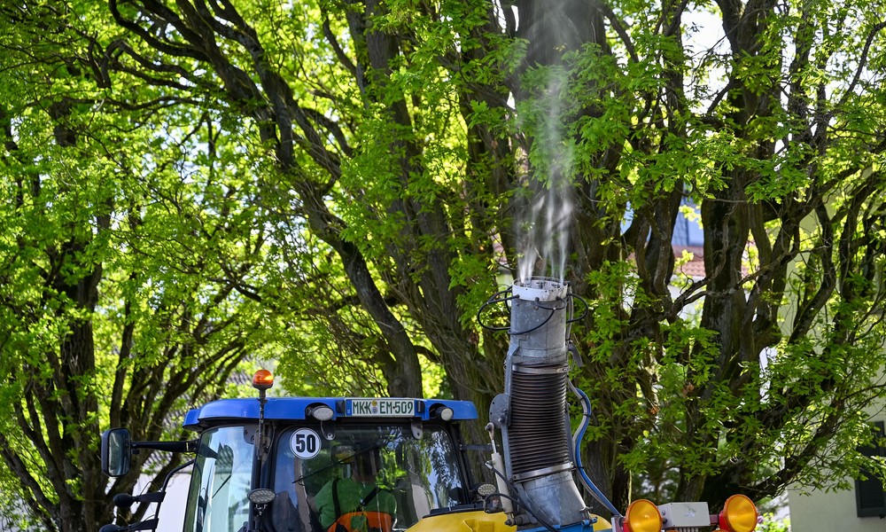 Gehweg in Hanau Wolfgang nach Fund von Raupennestern gesperrt
