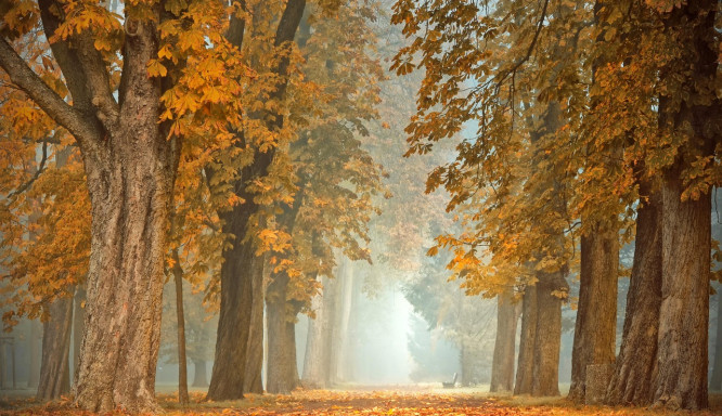 Scharf sehen trotz Herbstnebel: Brillenbeschlag ganz einfach verhindern