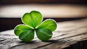Symbole: Das vierblättrige Kleeblatt und wie es Glück bringt – Die Bedeutung für dein Spirituelles Leben Symbole: Das vierblättrige Kleeblatt und wie es Glück bringt – Die Bedeutung für dein Spirituelles Leben