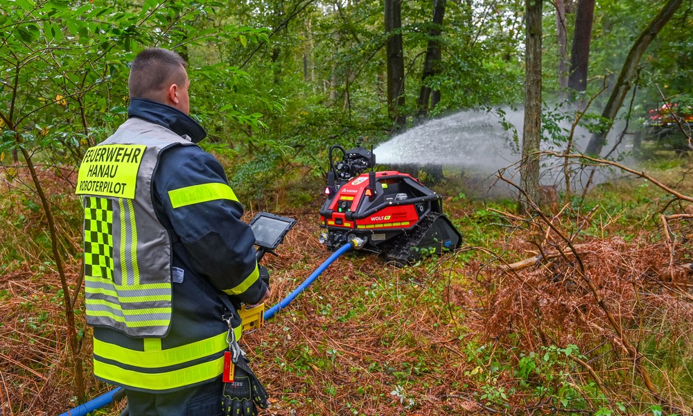 Waldbrand bei Hanau: 2,5 Hektar verbrannt, Stadt verschärft Verbote und Kontrollen