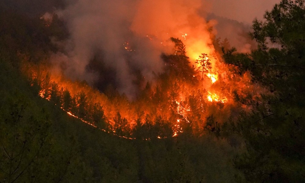 Waldbrandgefahr erreicht Höchststufe: Wiesbaden und Taunusstein verschärfen Regeln für Grillplätze Waldbrandgefahr erreicht Höchststufe: Wiesbaden und Taunusstein verschärfen Regeln für Grillplätze